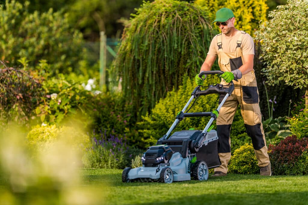 How to care for your lawn