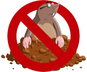 how to get rid of a mole