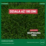 Efekt nawożenia nawozem jesiennym do trawy Mr. Green Grass