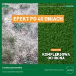 Efekt nawożenia nawozem letnim do trawy Mr. Green Grass