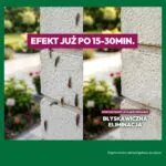 Efekt stosowania Błyskawicznej Eliminacji