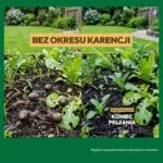 Efekt stosowania Końca Pełzania