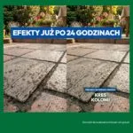 Efekt stosowania Kresu Kolonii
