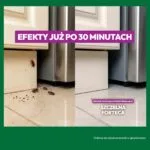 Efekt stosowania Szczelnej Fortecy