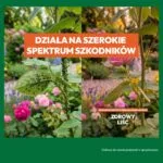 Efekt stosowania Zdrowego Liścia