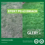 Efekt wdrożenia zaleceń badania gleby