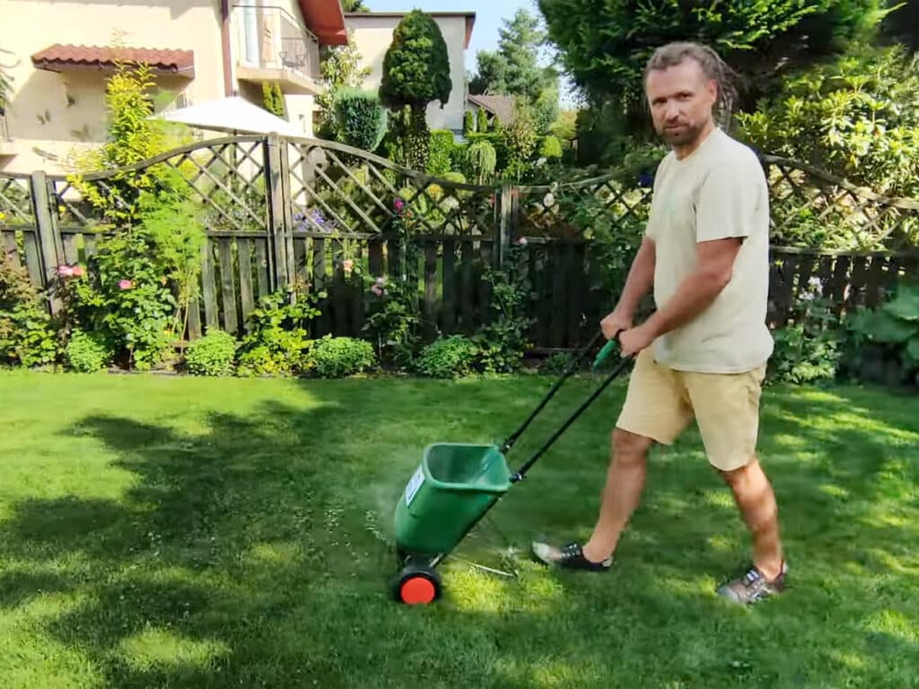 Jak używać siewnika do nawożenia trawnika