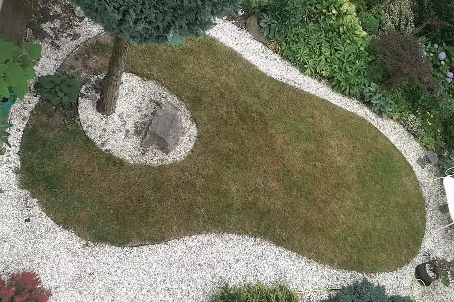 Trawnik przed regeneracją