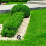 Trawnik wokół tarasu wczesną wiosną