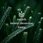 Żel do mycia ciała i rąk dla ogrodników - Traviér - obrazek 6